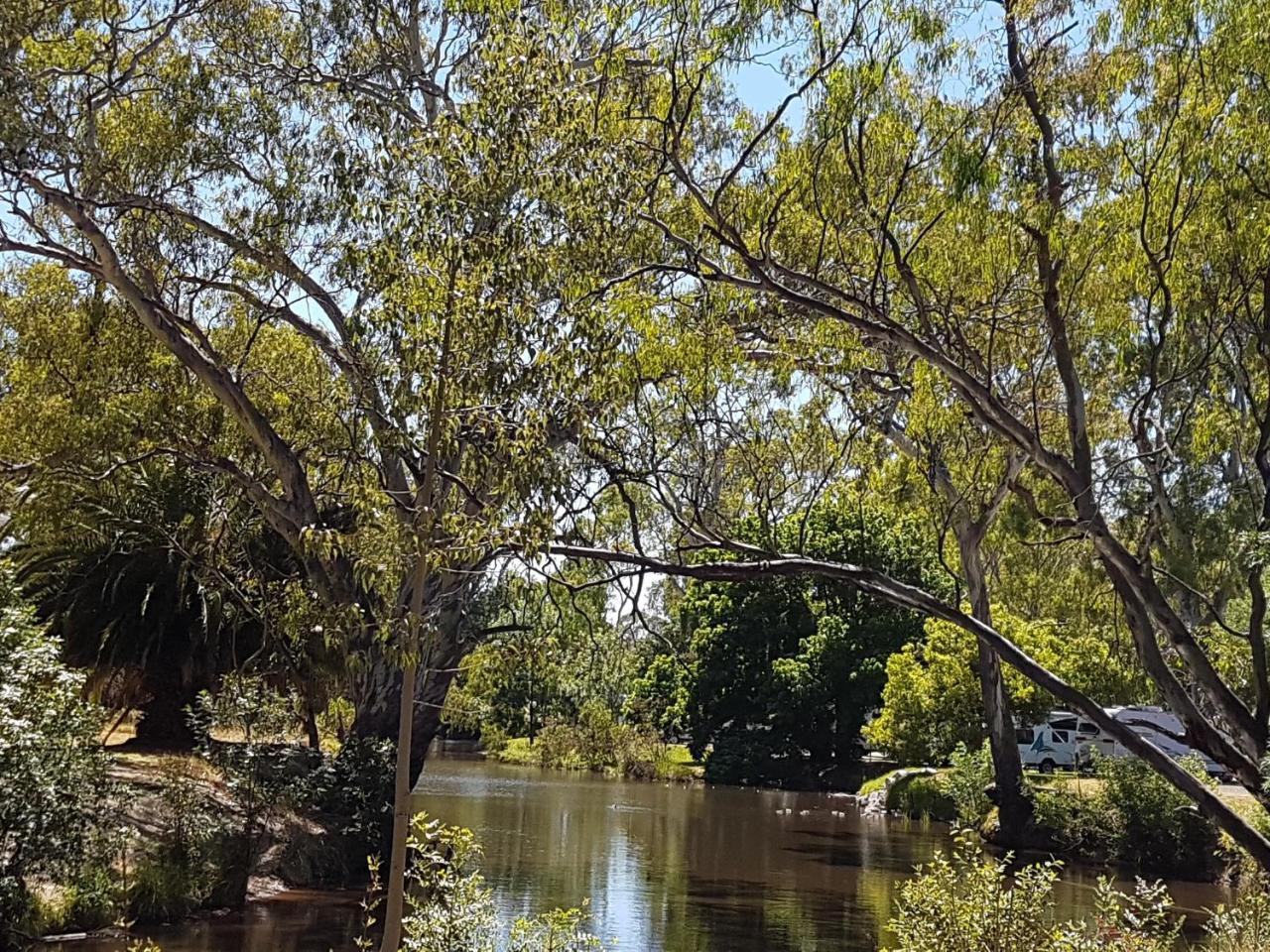 Euroa Caravan Park Hotel Buitenkant foto